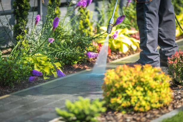 Best Sidewalk and Walkway Cleaning  in Lakeland, FL